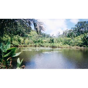 รูปถ่าย มาดากัสการ์(Madagascar) 1999-10 31