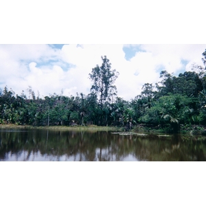 รูปถ่าย มาดากัสการ์(Madagascar) 1999-10 34