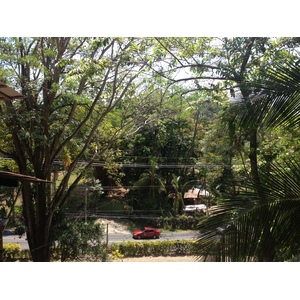 รูปถ่าย คอสตาริกา(Costa Rica) มานวยล์อันโตนีโอ(Manuel Antonio) 2015-03 399