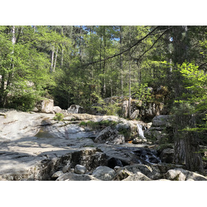 รูปถ่าย ฝรั่งเศส(France) คอร์สิคา(Corsica) ป่าไอโตเน(Aitone Forest) 2021-06 43