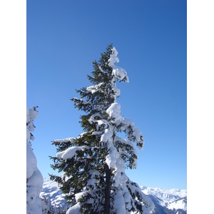 รูปถ่าย ออสเตรีย(Austria) คิทซ์บูเฮล(Kitzbuhel) สกี(Ski) 2005-03 110