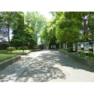 รูปถ่าย ญี่ปุ่น(Japan) โตเกียว(Tokyo) สวนคิวชิบะริคิว(Kyu Shiba rikyu Gardens) 2010-06 0
