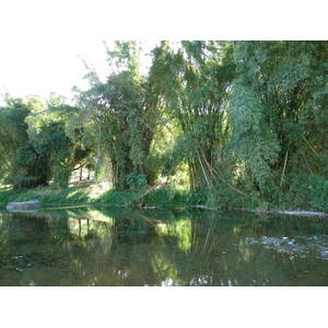 รูปถ่าย นิวแคลิโดเนีย(New Caledonia) ถนนจากกานาลาไปลาฟัว(Canala to La Foa road) 2010-05 64