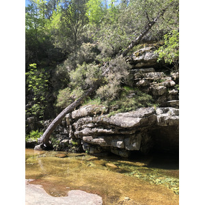 รูปถ่าย ฝรั่งเศส(France) คอร์สิคา(Corsica) ป่าไอโตเน(Aitone Forest) 2021-06 53