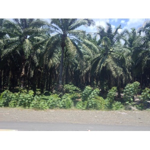 รูปถ่าย คอสตาริกา(Costa Rica) ฆาโก(Jaco) 2015-03 58