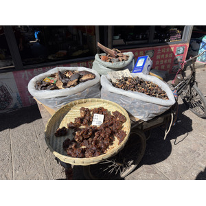 รูปถ่าย จีน(China) ลี่เจียง(Lijiang) 2026-01 66
