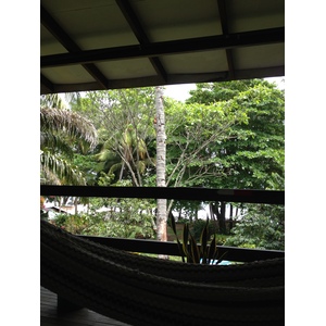 รูปถ่าย คอสตาริกา(Costa Rica) มอนเตซูมา(Montezuma) 2015-03 590