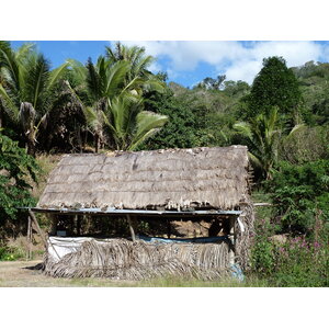 รูปถ่าย นิวแคลิโดเนีย(New Caledonia) ถนนจากกานาลาไปลาฟัว(Canala to La Foa road) 2010-05 47