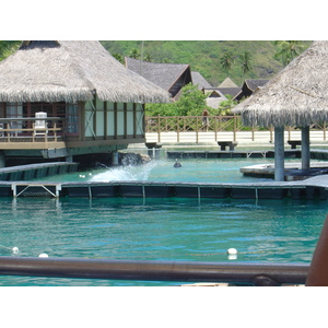 รูปถ่าย เฟรนช์โพลี่นีเซีย(Polynesia) มูเรีย(Moorea) 2006-04 63
