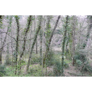 รูปถ่าย ฝรั่งเศส(France) แม่น้ำตาร์น(Tarn river) 2008-04 23