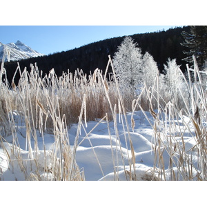 รูปถ่าย สวิสเซอร์แลนด์(Switzerland) เซนต์มอริตซ์ ชลาริญญา(St Moritz Schlarigna) 2007-01 74