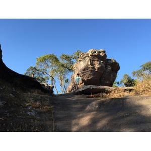รูปถ่าย ไทย(Thailand) อุทยานแห่งชาติภูหินร่องกล้า(Phu Hin Rong Kla National Park) 2014-12 147