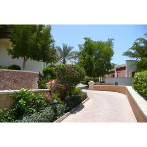 รูปถ่าย อียิปต์(Egypt) ชาร์มเอลชีค(Sharm el Sheikh) โรงแรมไฮแอต(Hyatt Hotel) 2008-06 35