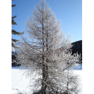 รูปถ่าย สวิสเซอร์แลนด์(Switzerland) เซนต์มอริตซ์ ชลาริญญา(St Moritz Schlarigna) 2007-01 86