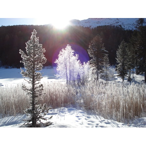 รูปถ่าย สวิสเซอร์แลนด์(Switzerland) เซนต์มอริตซ์ ชลาริญญา(St Moritz Schlarigna) 2007-01 93