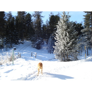 รูปถ่าย สวิสเซอร์แลนด์(Switzerland) เซนต์มอริตซ์ ชลาริญญา(St Moritz Schlarigna) 2007-01 95