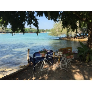 รูปถ่าย ไทย(Thailand) เกาะเสม็ด(Ko Samet) 2014-12 252