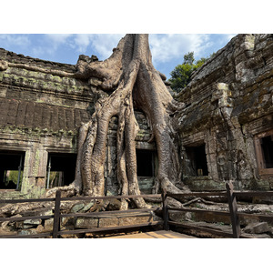 รูปถ่าย กัมพูชา(Cambodia) เสียมราฐ(Siem Reap) ปราสาทตาพรหม(Ta Prohm) 2023-01 89