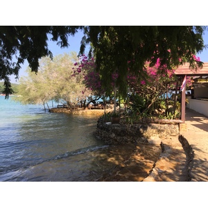 รูปถ่าย ไทย(Thailand) เกาะเสม็ด(Ko Samet) 2014-12 127