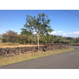 รูปถ่าย ปานามา(Panama) โบเกเต(Boquete) 2015-03 151