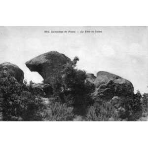 รูปถ่าย ฝรั่งเศส(France) คอร์สิคา(Corsica) โปสการ์ดเก่า(Old Postcards) 1900-01 187