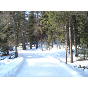 รูปถ่าย สวิสเซอร์แลนด์(Switzerland) เซนต์มอริตซ์ ชลาริญญา(St Moritz Schlarigna) 2007-01 87