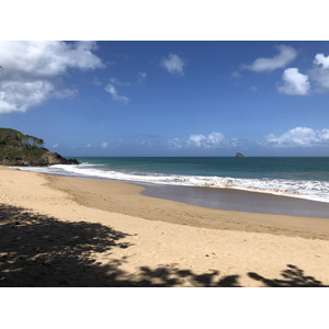 รูปถ่าย กวาเดอลูป(Guadeloupe) หาดลาแปร์ล(La Perle Beach) 2021-02 97