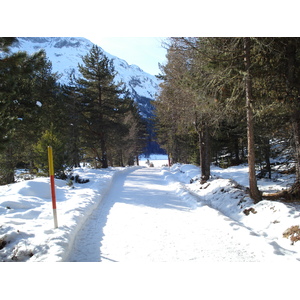 รูปถ่าย สวิสเซอร์แลนด์(Switzerland) เซนต์มอริตซ์ ชลาริญญา(St Moritz Schlarigna) 2007-01 98