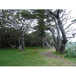 รูปถ่าย นิวแคลิโดเนีย(New Caledonia) เกาะต้นสน(Ile des pins) หาดคูโต(Kuto Beach) 2010-05 43