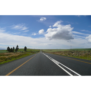รูปถ่าย แอฟริกาใต้(South Africa) ถนนจากเฮอร์มานัสไปไนส์นา(Harmanus to Knysna road) 2008-09 64