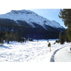 รูปถ่าย สวิสเซอร์แลนด์(Switzerland) เซนต์มอริตซ์ ชลาริญญา(St Moritz Schlarigna) 2007-01 82