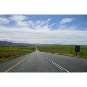 รูปถ่าย แอฟริกาใต้(South Africa) ถนนจากเฮอร์มานัสไปไนส์นา(Harmanus to Knysna road) 2008-09 63