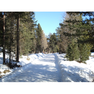 รูปถ่าย สวิสเซอร์แลนด์(Switzerland) เซนต์มอริตซ์ ชลาริญญา(St Moritz Schlarigna) 2007-01 72