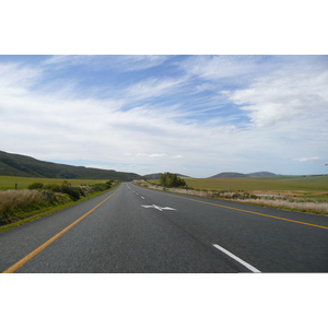 รูปถ่าย แอฟริกาใต้(South Africa) ถนนจากเฮอร์มานัสไปไนส์นา(Harmanus to Knysna road) 2008-09 75