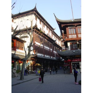 รูปถ่าย จีน(China) เซี่ยงไฮ้(Shanghai) 2002-01 260