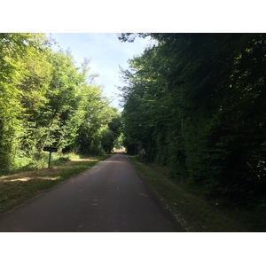 รูปถ่าย ฝรั่งเศส(France) แซ็งฟาร์โฌ(Saint-Fargeau) 2017-07 16