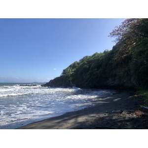 รูปถ่าย กวาเดอลูป(Guadeloupe) บานาเนีย(Bananier) 2021-02 18
