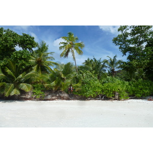รูปถ่าย เซเชลส์(Seychelles) 2011-10 139