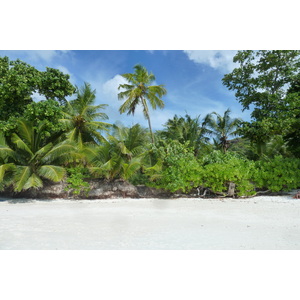 รูปถ่าย เซเชลส์(Seychelles) อ่าวอ็องส์ลาซิโอ(Anse Lazio) 2011-10 149