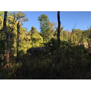 รูปถ่าย ไทย(Thailand) อุทยานแห่งชาติภูหินร่องกล้า(Phu Hin Rong Kla National Park) 2014-12 387