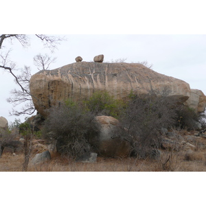 รูปถ่าย แอฟริกาใต้(South Africa) อุทยานแห่งชาติครูเกอร์(Kruger National Park) 2008-09 147
