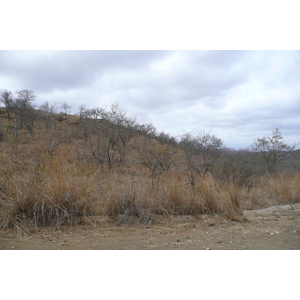 รูปถ่าย แอฟริกาใต้(South Africa) อุทยานแห่งชาติครูเกอร์(Kruger National Park) 2008-09 107