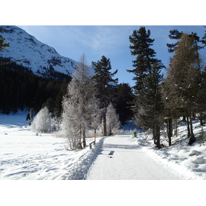 รูปถ่าย สวิสเซอร์แลนด์(Switzerland) เซนต์มอริตซ์ ชลาริญญา(St Moritz Schlarigna) 2007-01 2