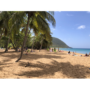 รูปถ่าย กวาเดอลูป(Guadeloupe) หาดกร็องด์อ็องส์(Grande Hanse Beach) 2021-02 3