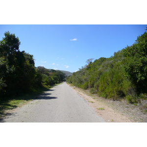 รูปถ่าย แอฟริกาใต้(South Africa) หุบเขาเนเจอร์ส(Nature's Valley) 2008-09 56