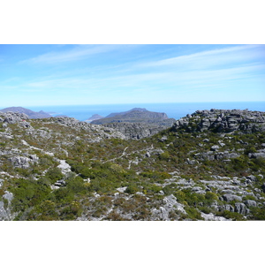 รูปถ่าย แอฟริกาใต้(South Africa) เคปทาวน์(Cape Town) ภูเขาเทเบิล(Table Mountain) 2008-09 88
