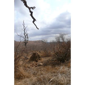 รูปถ่าย แอฟริกาใต้(South Africa) อุทยานแห่งชาติครูเกอร์(Kruger National Park) 2008-09 98