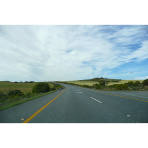 รูปถ่าย แอฟริกาใต้(South Africa) ถนนจากเฮอร์มานัสไปไนส์นา(Harmanus to Knysna road) 2008-09 91