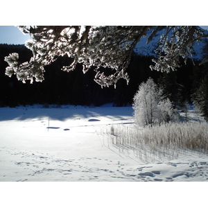รูปถ่าย สวิสเซอร์แลนด์(Switzerland) เซนต์มอริตซ์ ชลาริญญา(St Moritz Schlarigna) 2007-01 29