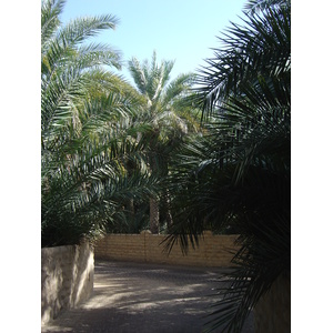 รูปถ่าย สหรัฐอาหรับเอมิเรตส์(United Arab Emirates) อาเลอิน(Al Ain) โอเอซิสอัลไอน์(Al Ain Oasis) 2005-03 19